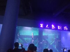 -临沂极地海洋王国