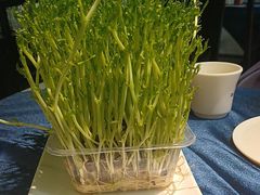 -蜀大侠·侠客印象(园林博物馆店)
