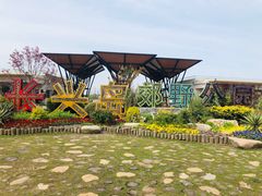 -上海长兴岛郊野公园