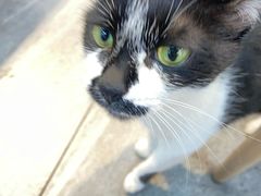 -屋里家延边朝鲜族冷面(梅林3店)