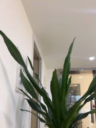 -初心纹眉洗眉·美睫专业店