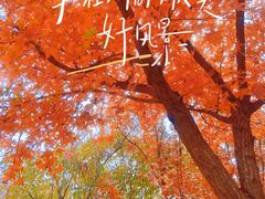-北宫国家森林公园