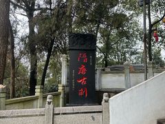 -孤山景区-孤山寺
