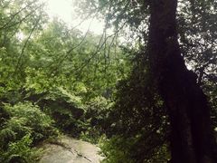 android_upload_pic-众神白水涧景区