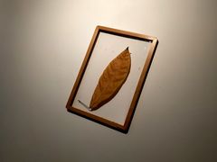 -枫桥边coffee(滨江路店)