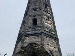 -上海佘山国家森林公园天马山园