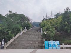 -铁山坪森林公园