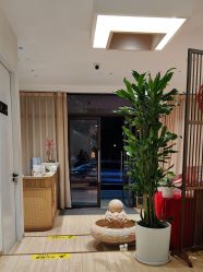 -森林头疗美容养发馆
