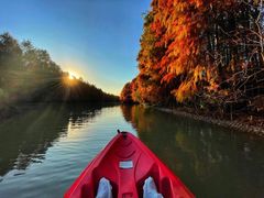 -上海海湾国家森林公园