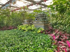 -南宫五洲植物乐园