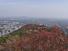 -北京西山国家森林公园