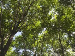 -草根堂农场