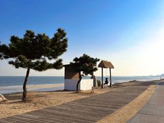 -巧克力渔家.小船海鲜胶东菜(万平口店)