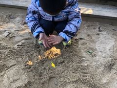 -杭州少年儿童公园