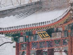-颐和园
