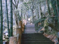 -藏龙百瀑风景区