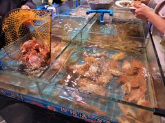 -领鲜活海鲜榴莲自助火锅(东门店)