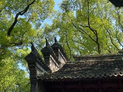 -天一阁博物院