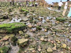 -小麦岛公园