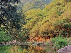 -白云源风景区