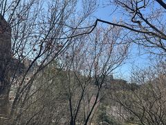 -北京中信金陵酒店