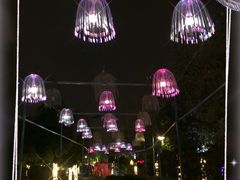 -花博汇(知音花月夜)