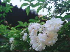 景点-云龙山