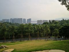 -飞凤山奥体公园