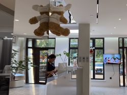 -三只熊皮肤管理中心旗舰店