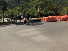 -雅鲁激流探险漂流