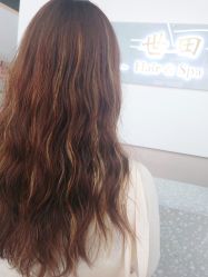 -世田造型