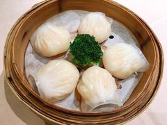 -新陶陶酒家