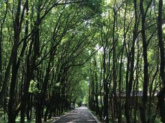 -同里国家湿地公园