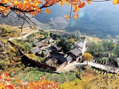 -金灯寺