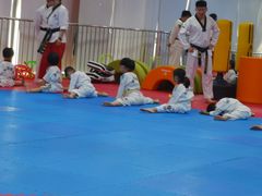 -陈中跆拳道(中关村馆)