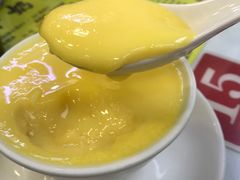 -澳洲牛奶公司(佐敦店)