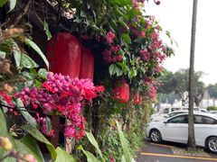 -隆都四季香饭店(碧海路店)