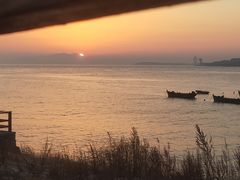 -小麦岛公园