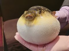 -永安鱼庄·镇江菜(东吴路店)