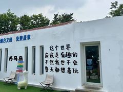 -养马岛旅游度假区