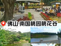 -南国桃园旅游度假区