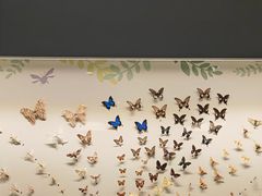 -香港科学馆