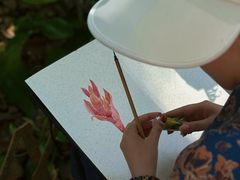 -中国科学院西双版纳热带植物园