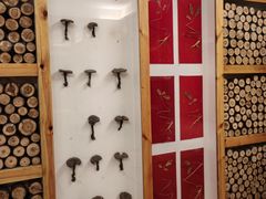 -纽斯洗浴SPA(三墩店)