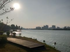 -飞来湖湿地公园