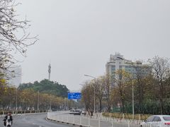 -洲头咀公园