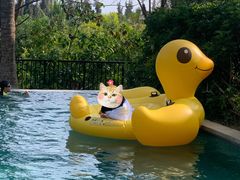 -海南清水湾莱佛士酒店