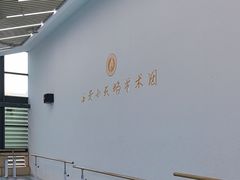 -西安小天鹅艺术团(曲江Alice店)