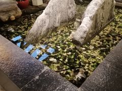 -苏州独墅湖书香世家酒店