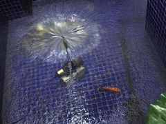 -钓鱼岛洗浴休闲会馆(卫星路店)